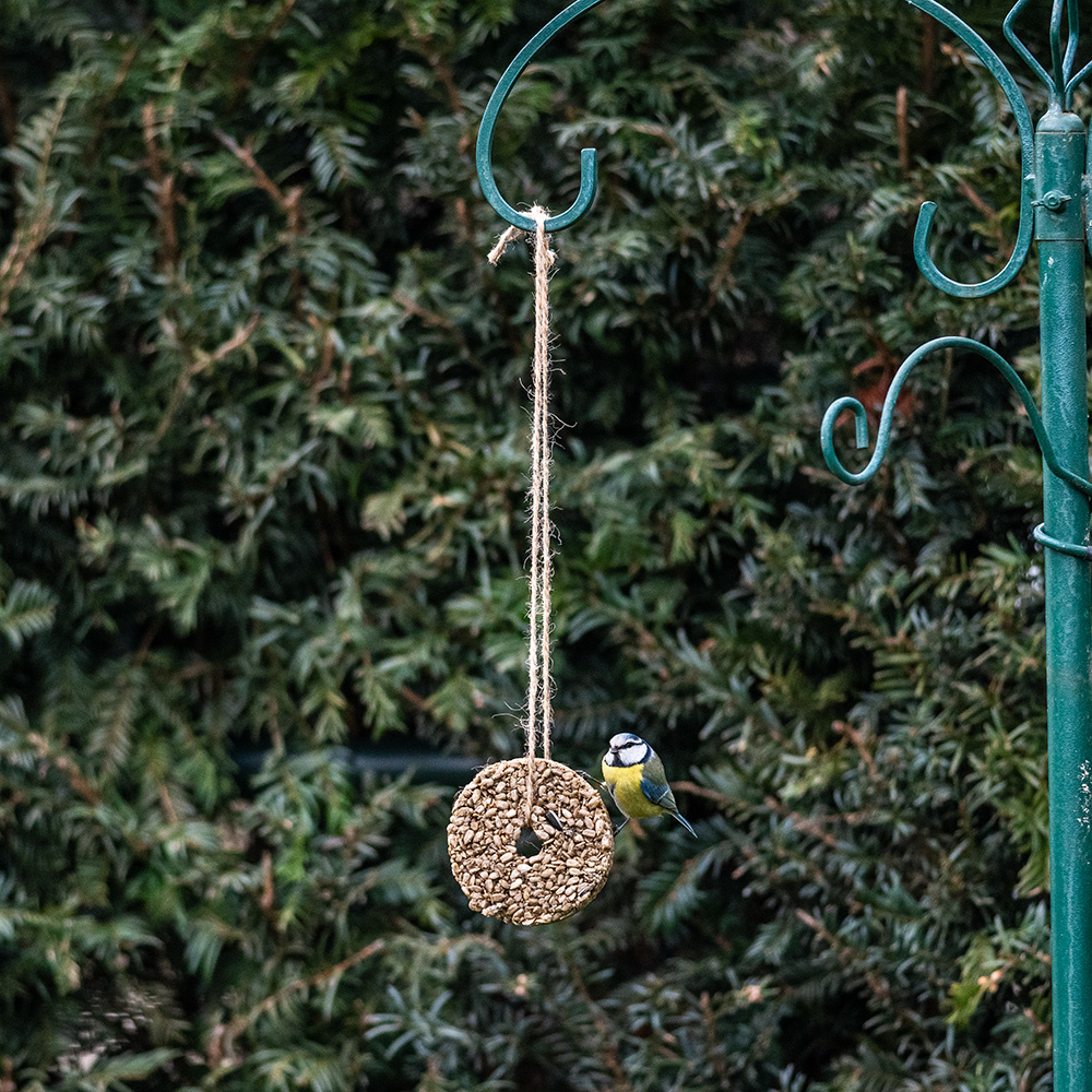 Hanging Sunflower Heart Ring 