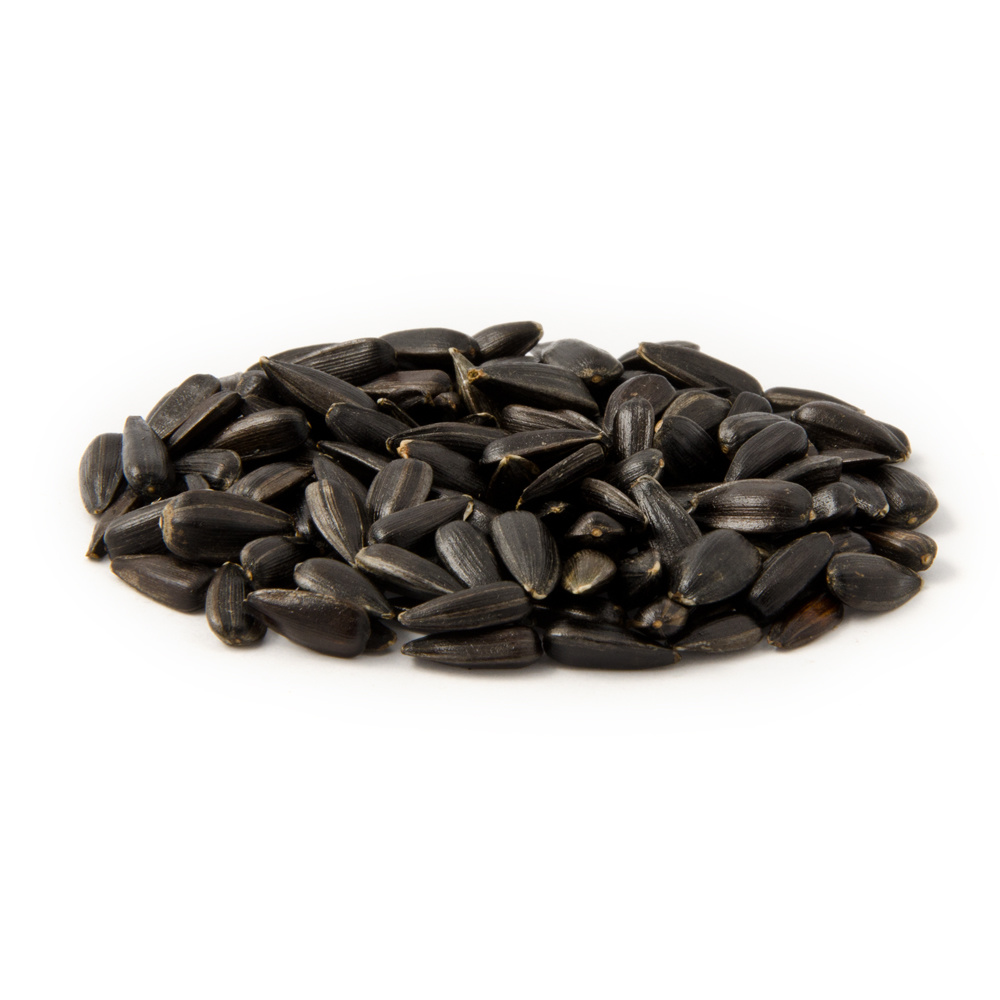 Black Sunflower Seeds