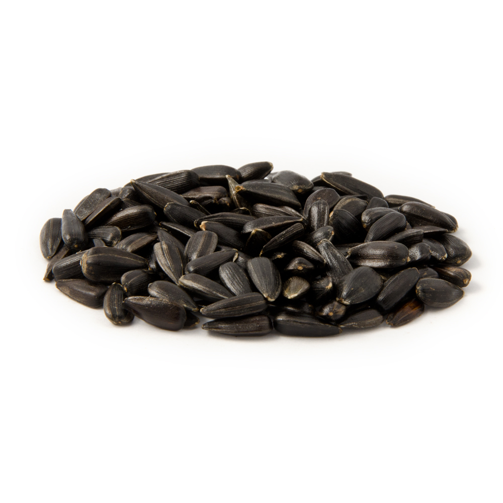 Gifts4Nature Zwarte Zonnebloempitten (5 kg)