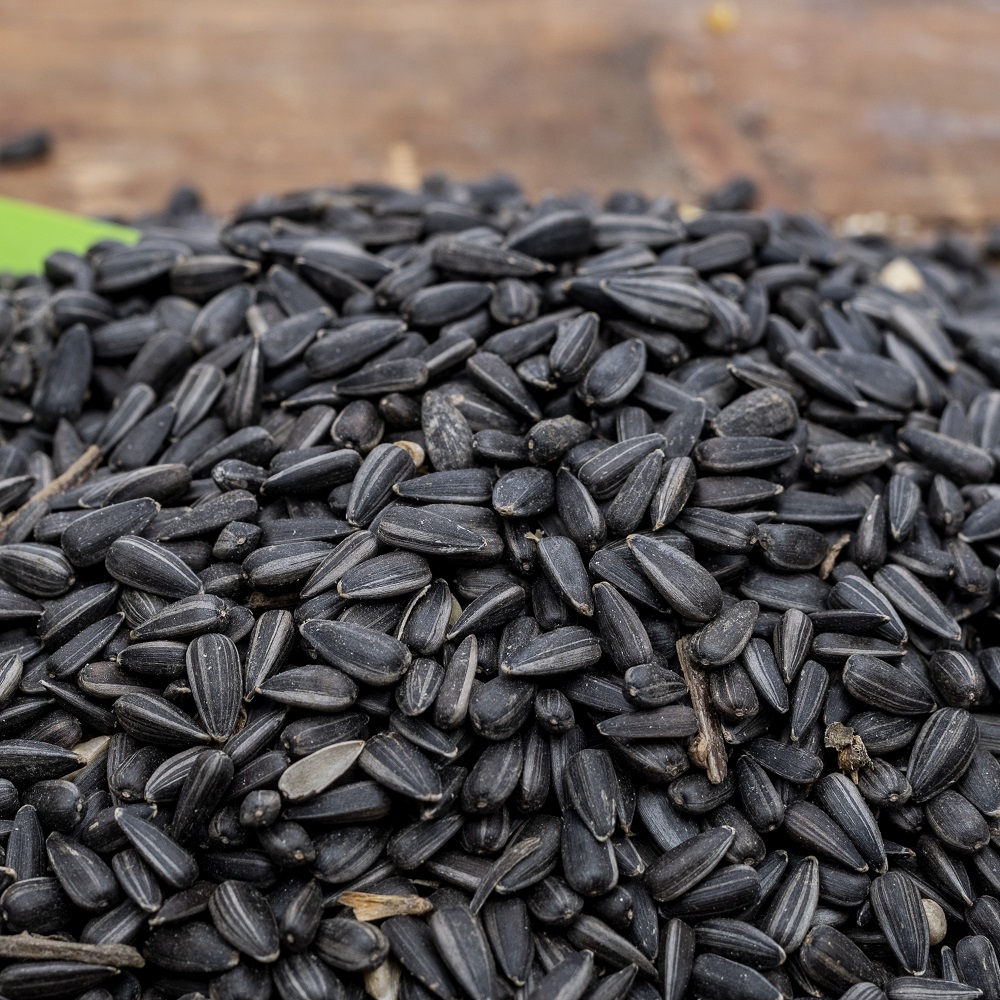 Black Sunflower Seeds