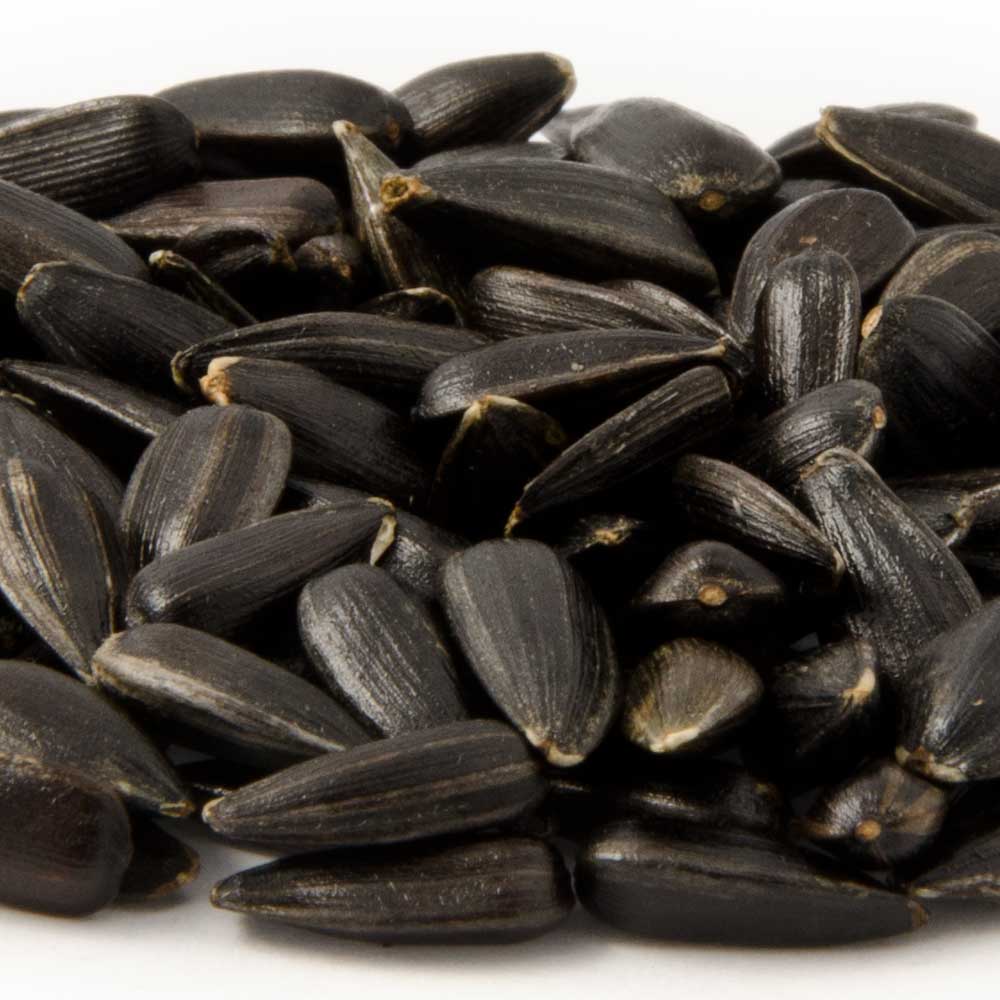 Black Sunflower Seeds for Birds