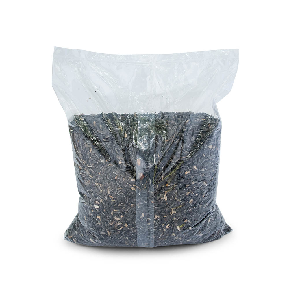 Green+ Schwarze Sonnenblumenkerne - 2,5 kg (biologischer Anbau)