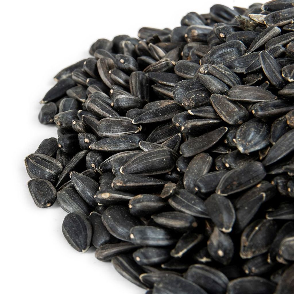 Green+ Schwarze Sonnenblumenkerne - 2,5 kg (biologischer Anbau)