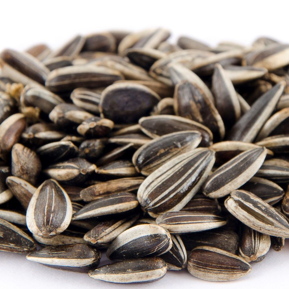 Striped Sunflower Seeds 2.5kg