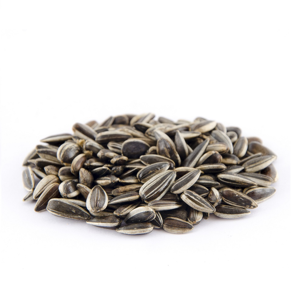 Striped Sunflower Seeds for Birds