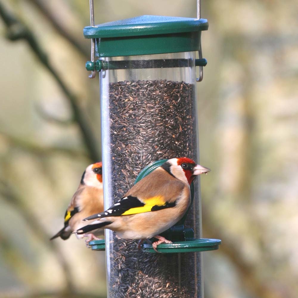 Nyjer Seed - Bird Food to attract Goldfinches