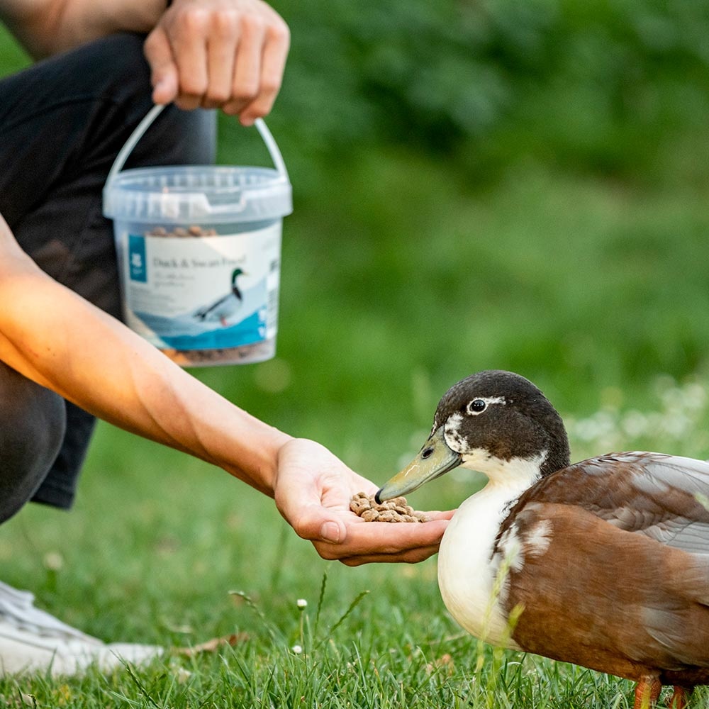 Streufutter für Enten und Schwäne 350 g