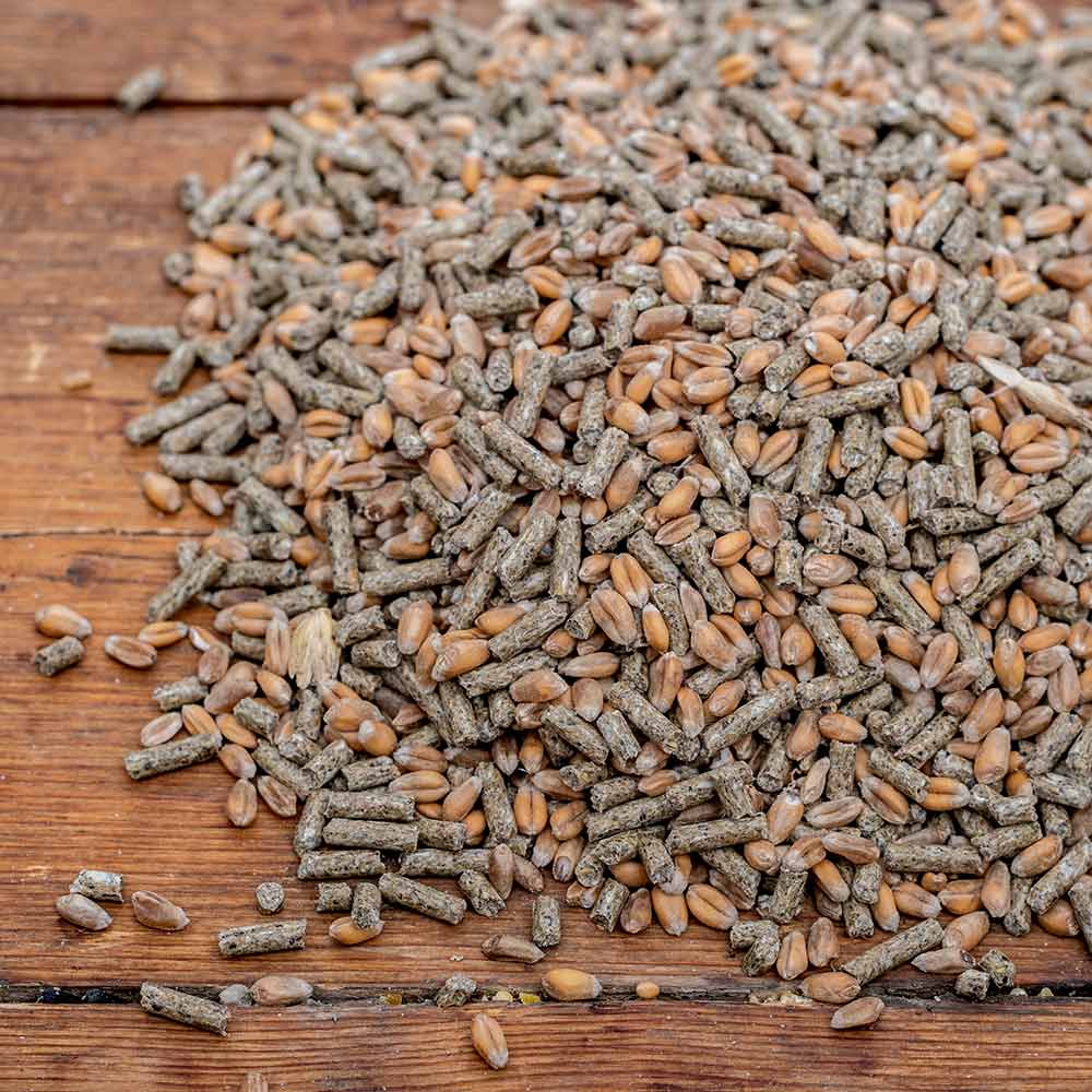 National Trust Duck & Swan Food Blend 