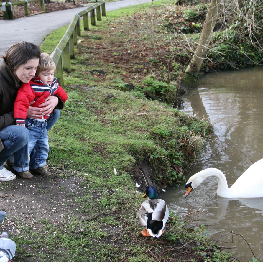 National Trust Duck & Swan Blend 1.5ltr