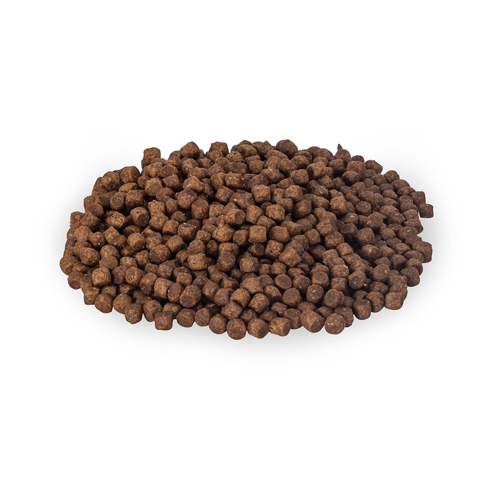 Premium Hedgehog Food Biscuits 600g