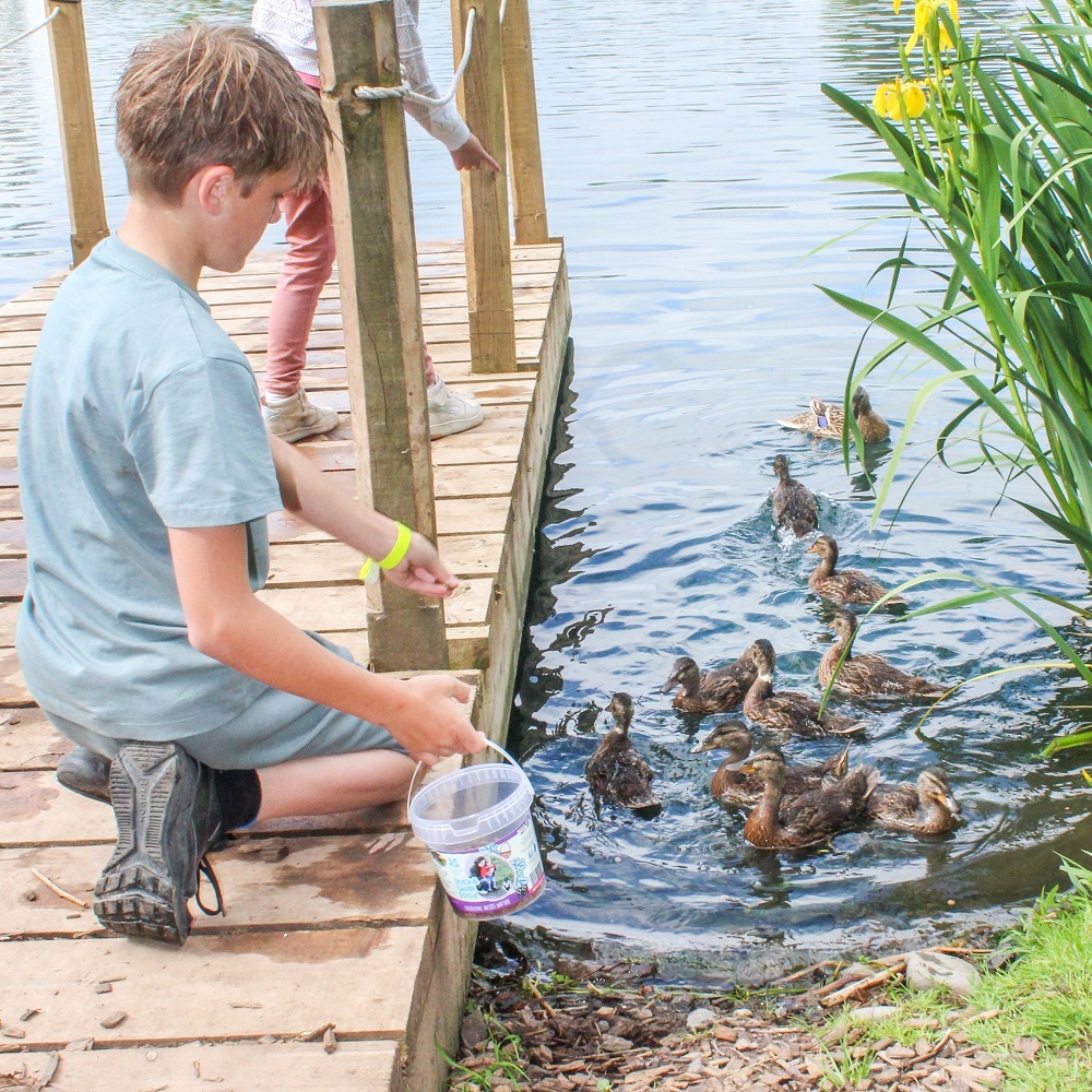 National Trust Kids Duck & Swan Food (floating)