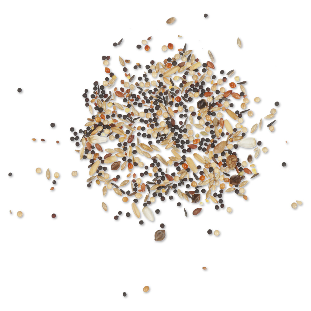 Premium Summer Bird Seed Mix 2kg