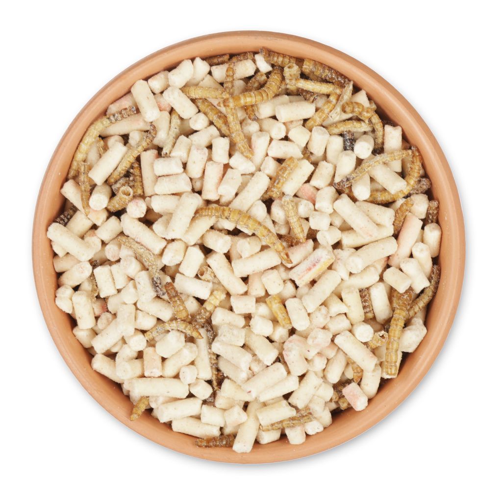 Protein-rich Insect & Pellets Mix 2.5kg