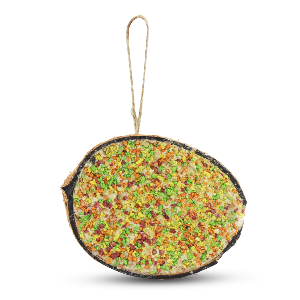 Coconut Feast for Birds