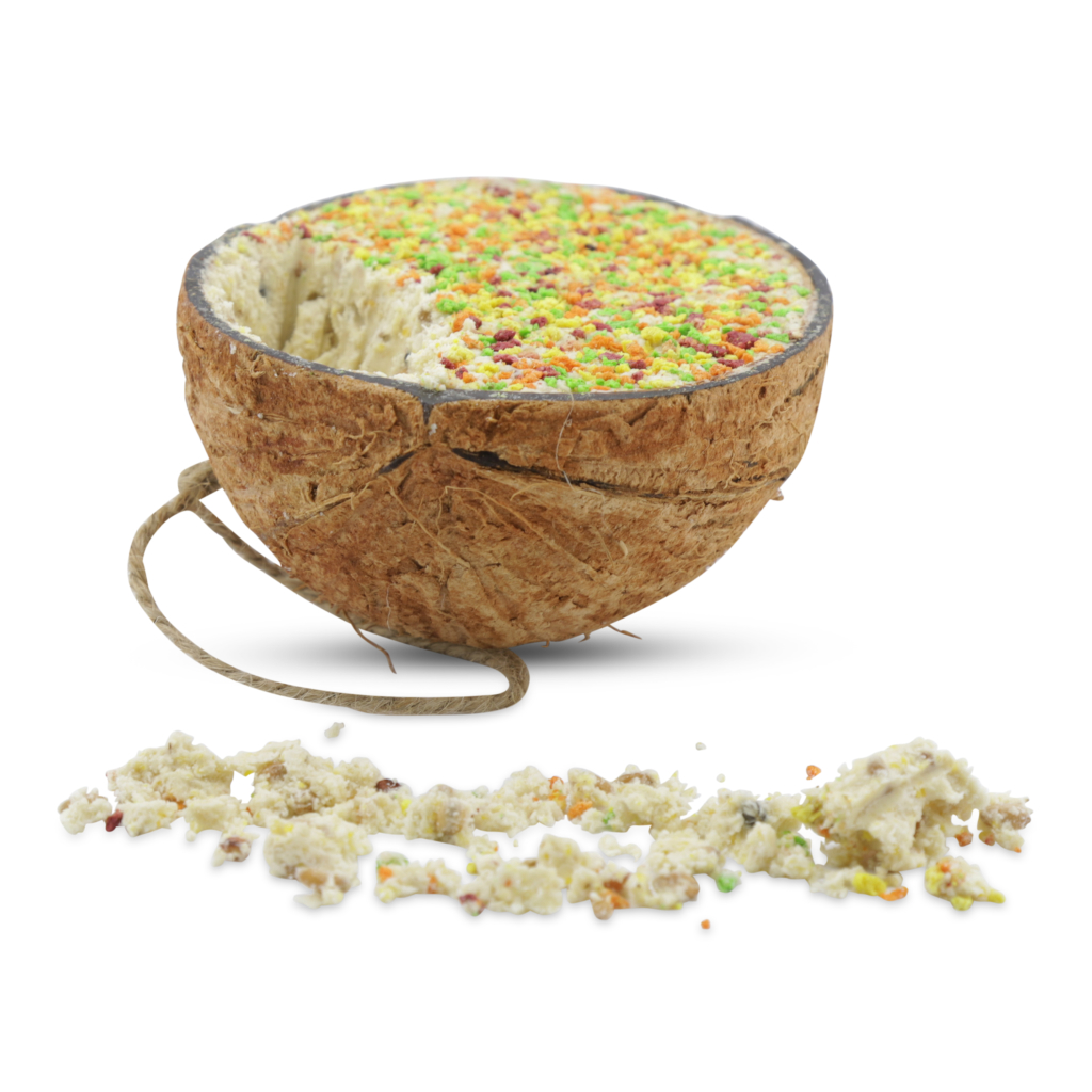 Coconut Feast for Birds