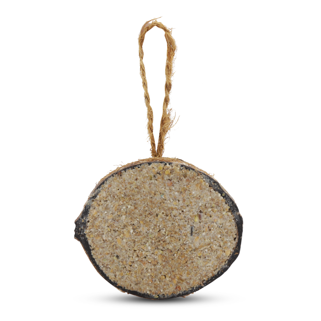 4 halve kokosnoten met meelwormen