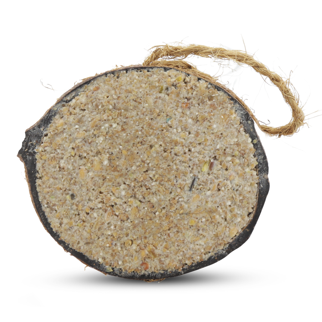 4 x halbe Kokosnüsse mit Mehlwürmern