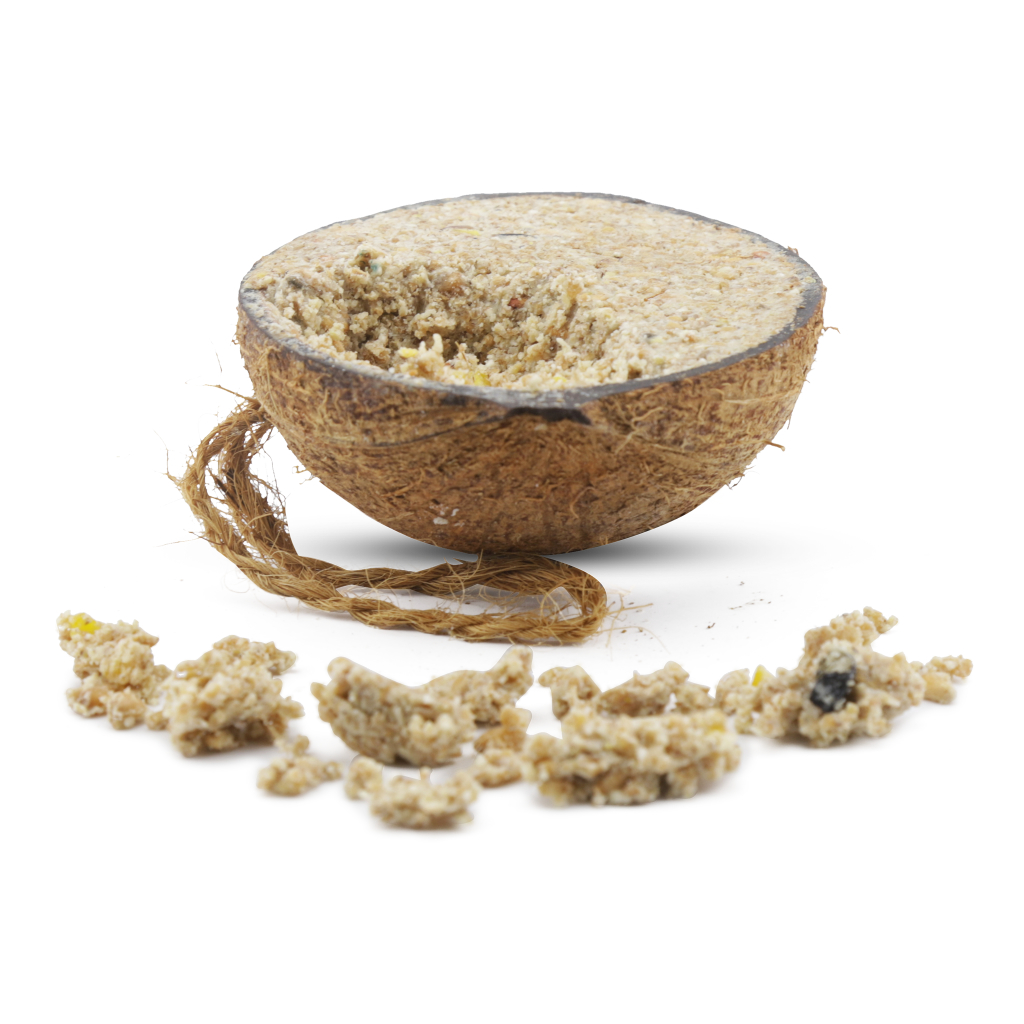 4 halve kokosnoten met meelwormen