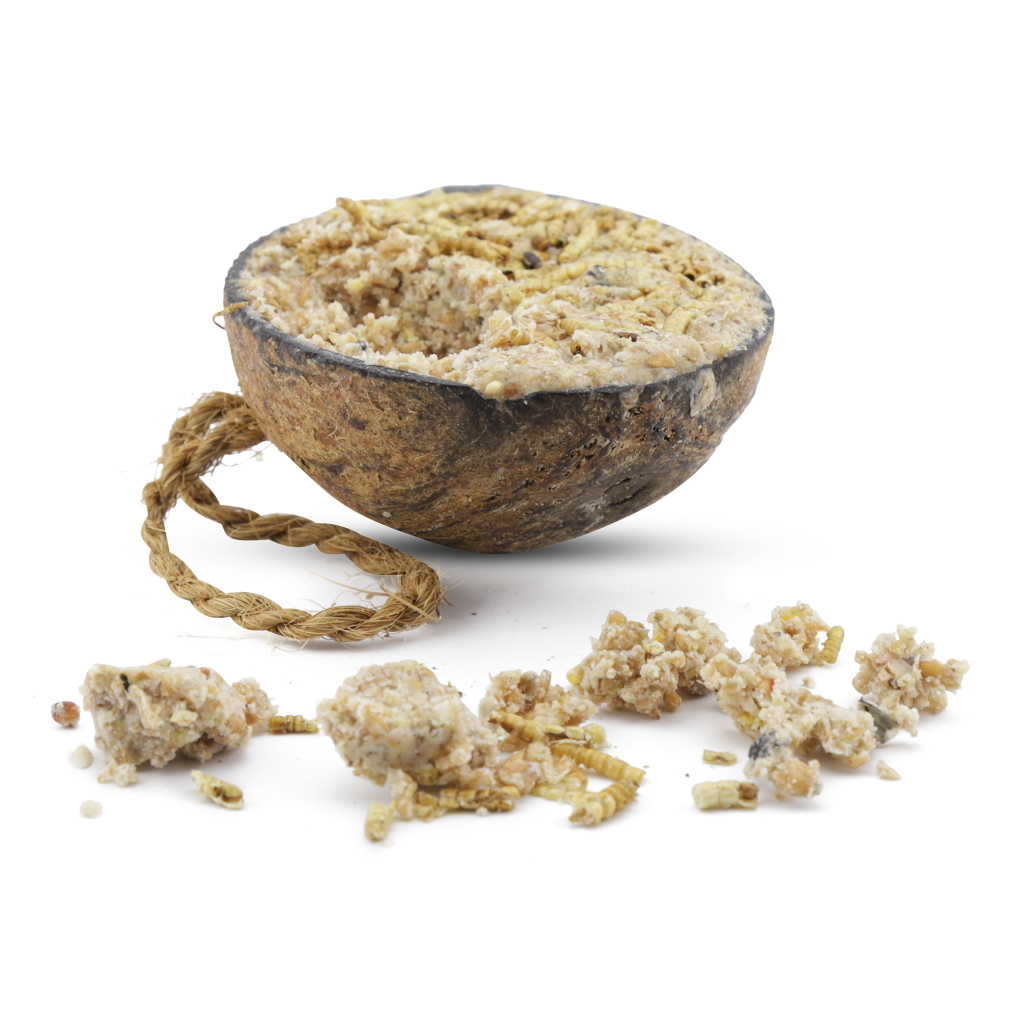 Halve kokosnoot met meelwormen