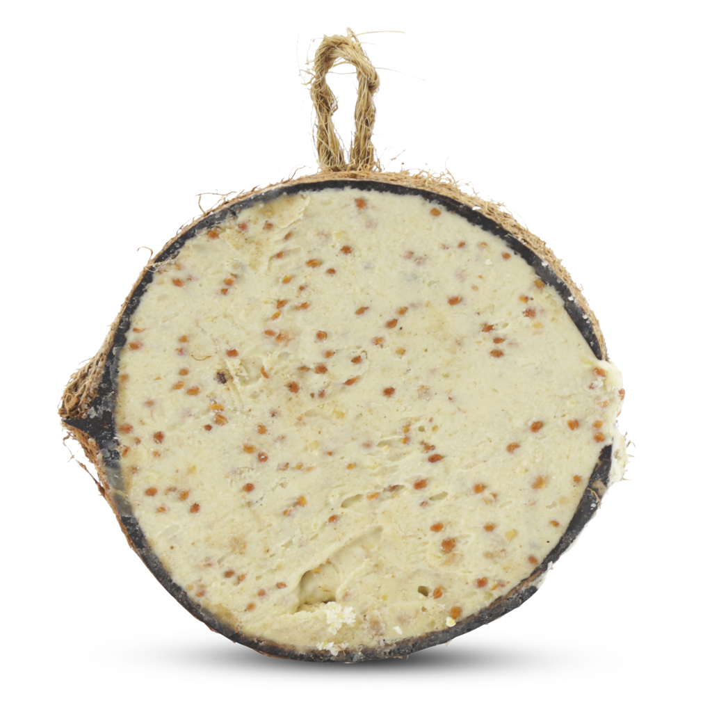 Half Coconut Filled with Mealworms & Insects