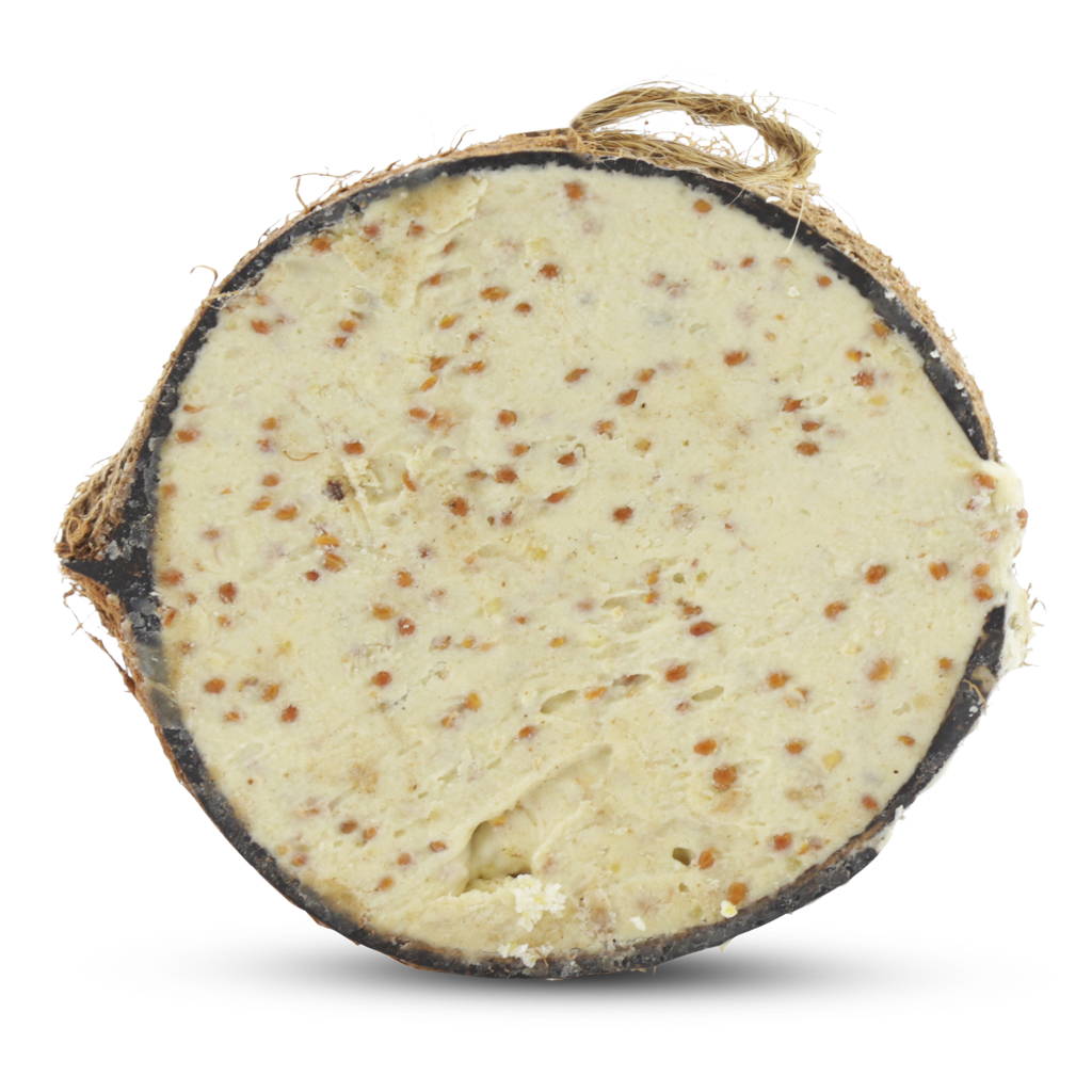 Halve kokosnoot met meelwormen en insecten 