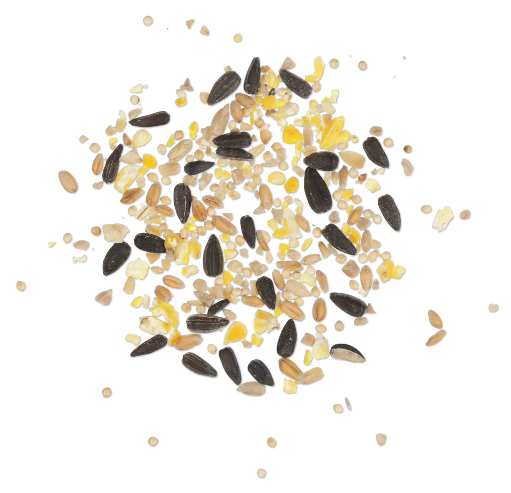 Fuglefrøblanding til fuglebord