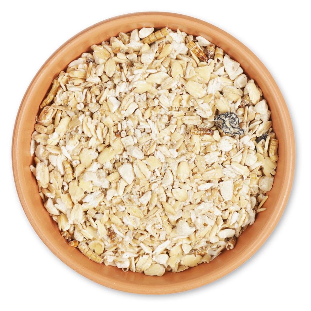 Muesli pour oiseaux avec vers de farine 2,5 kg