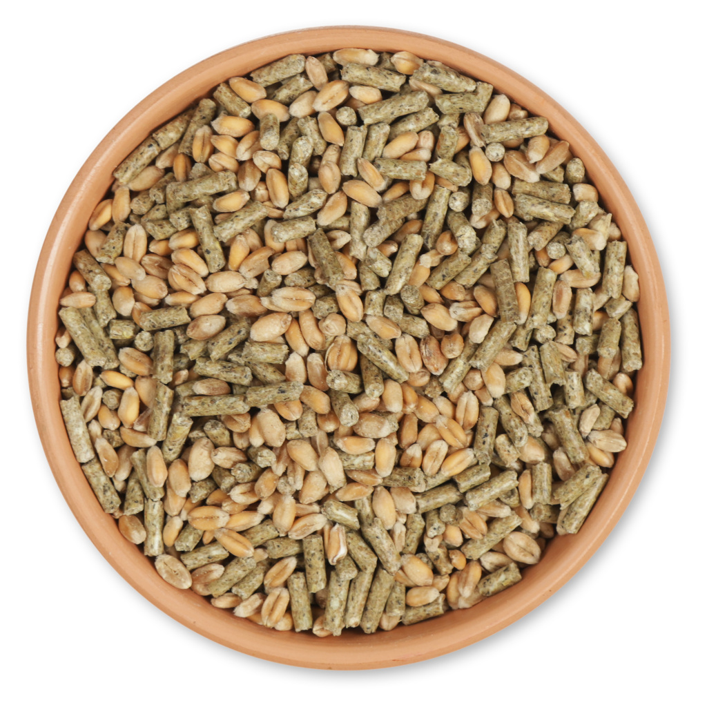 Nourriture pour canards et cygnes 2,5 kg