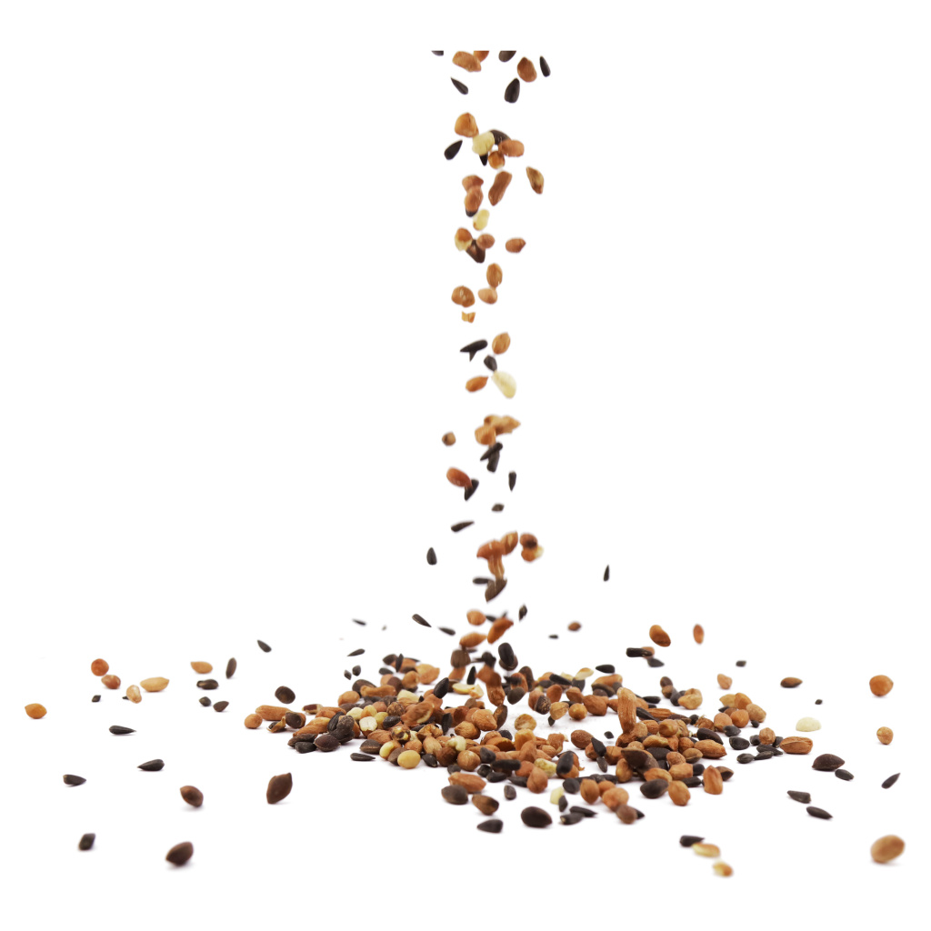 National Trust Squirrel Food 1kg