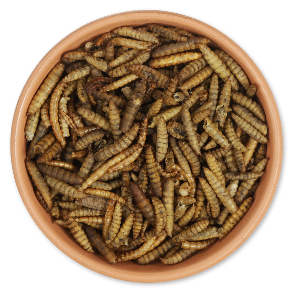 Proteinrig insektblanding 700 g (spand)