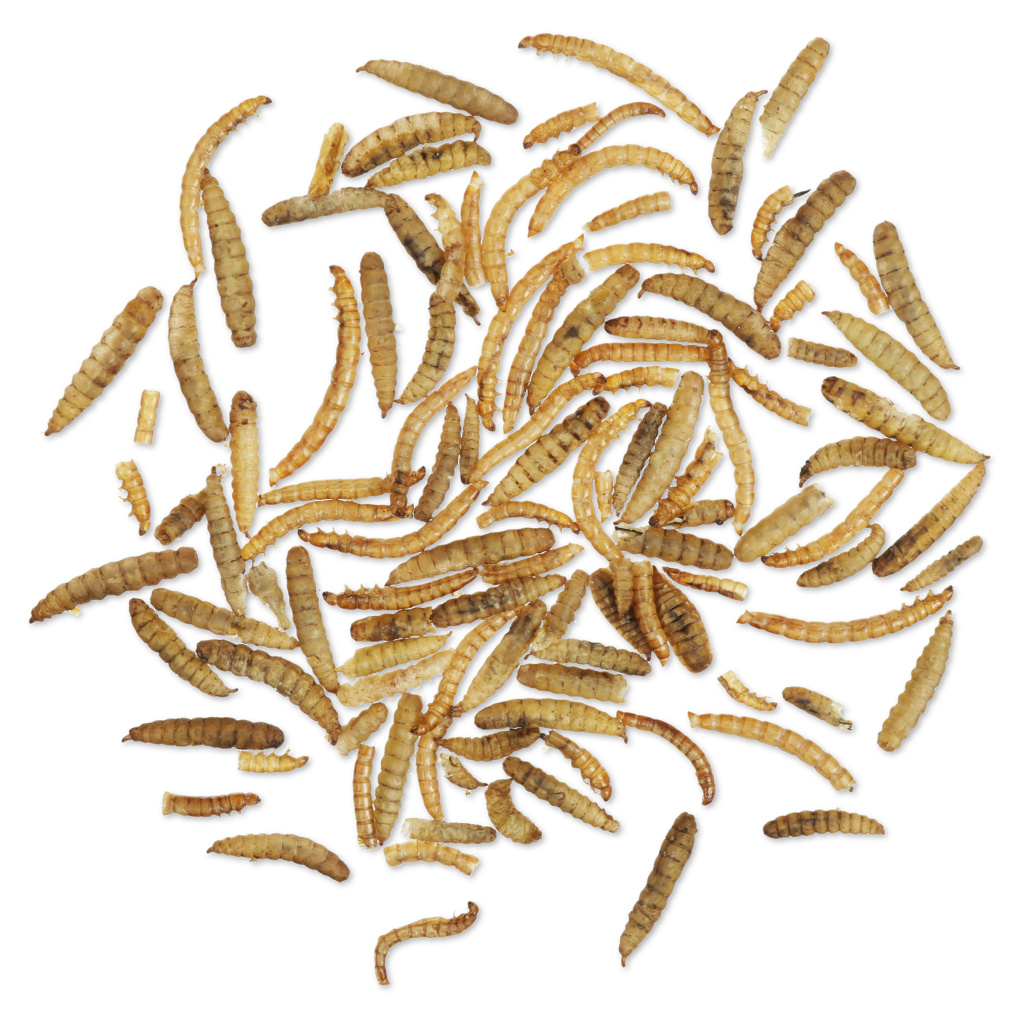 Proteinrig insektblanding 700 g (spand)