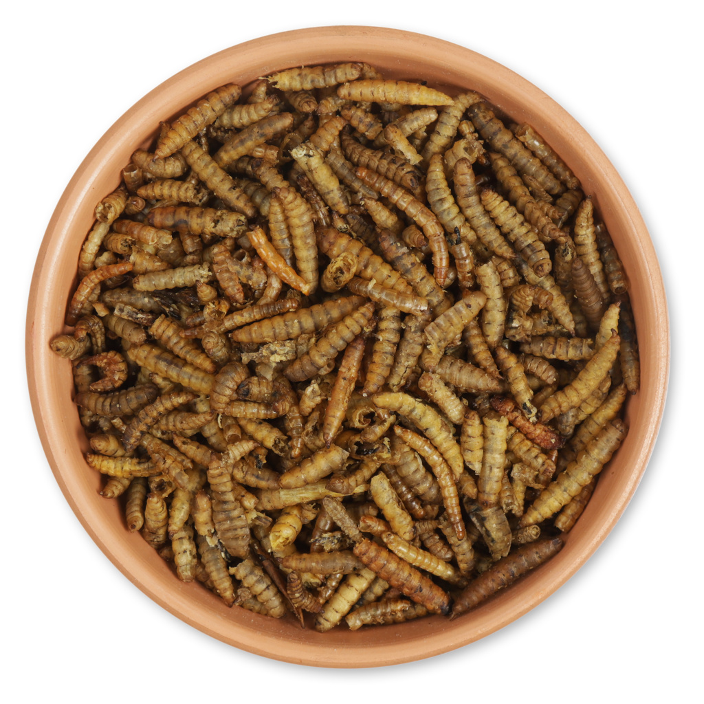Eiwitrijke gedroogde insectenmix 1kg
