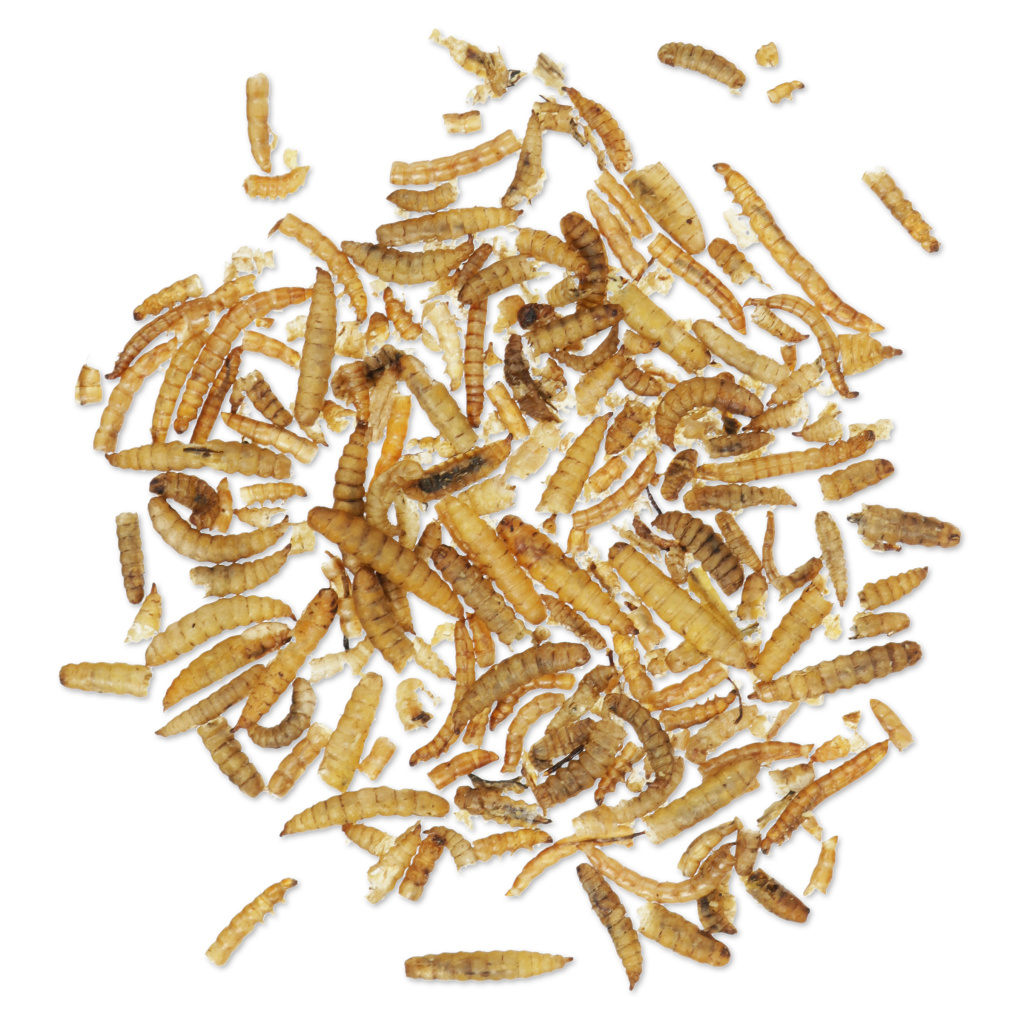 Eiwitrijke gedroogde insectenmix 1kg