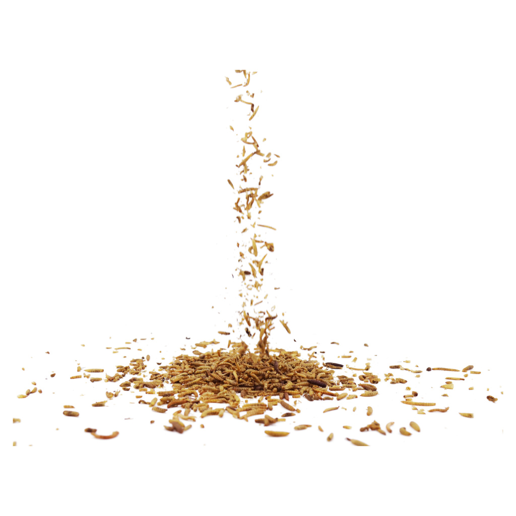 Eiwitrijke gedroogde insectenmix 1kg