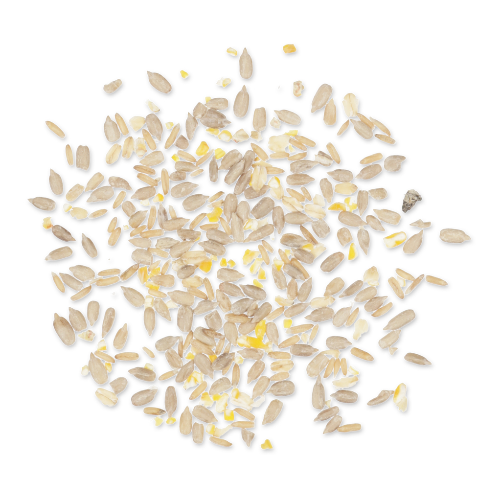 Green+ Futtermischung 2,5 kg (biologischer Anbau)