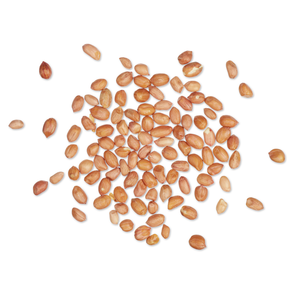 Cacahuètes pour mésanges et pic épeiche | Vivara Kids