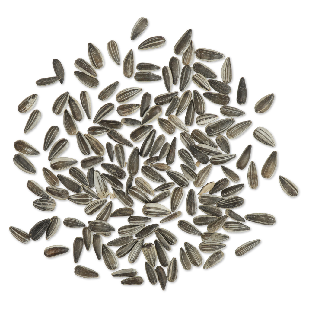 Zonnebloempitten gestreept 2,5 kg