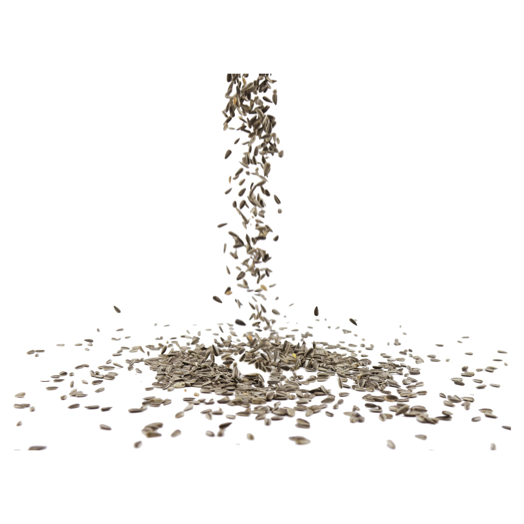 Zonnebloempitten gestreept 2,5 kg