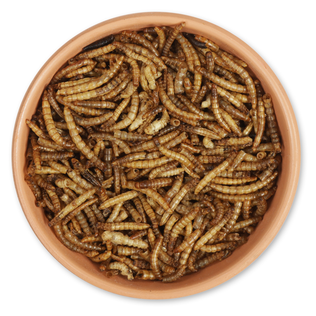 National Trust Dried Mealworms 250g