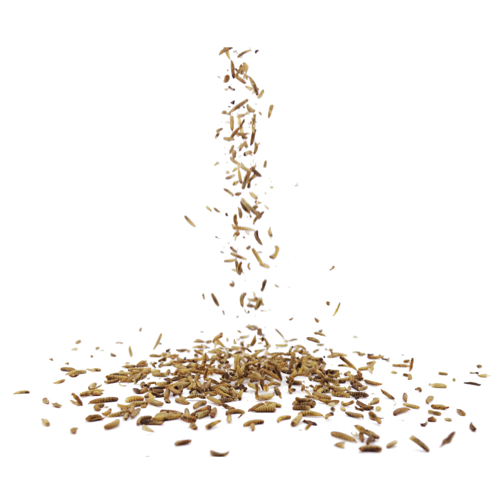 Dried Mealworms 900g (Tub)