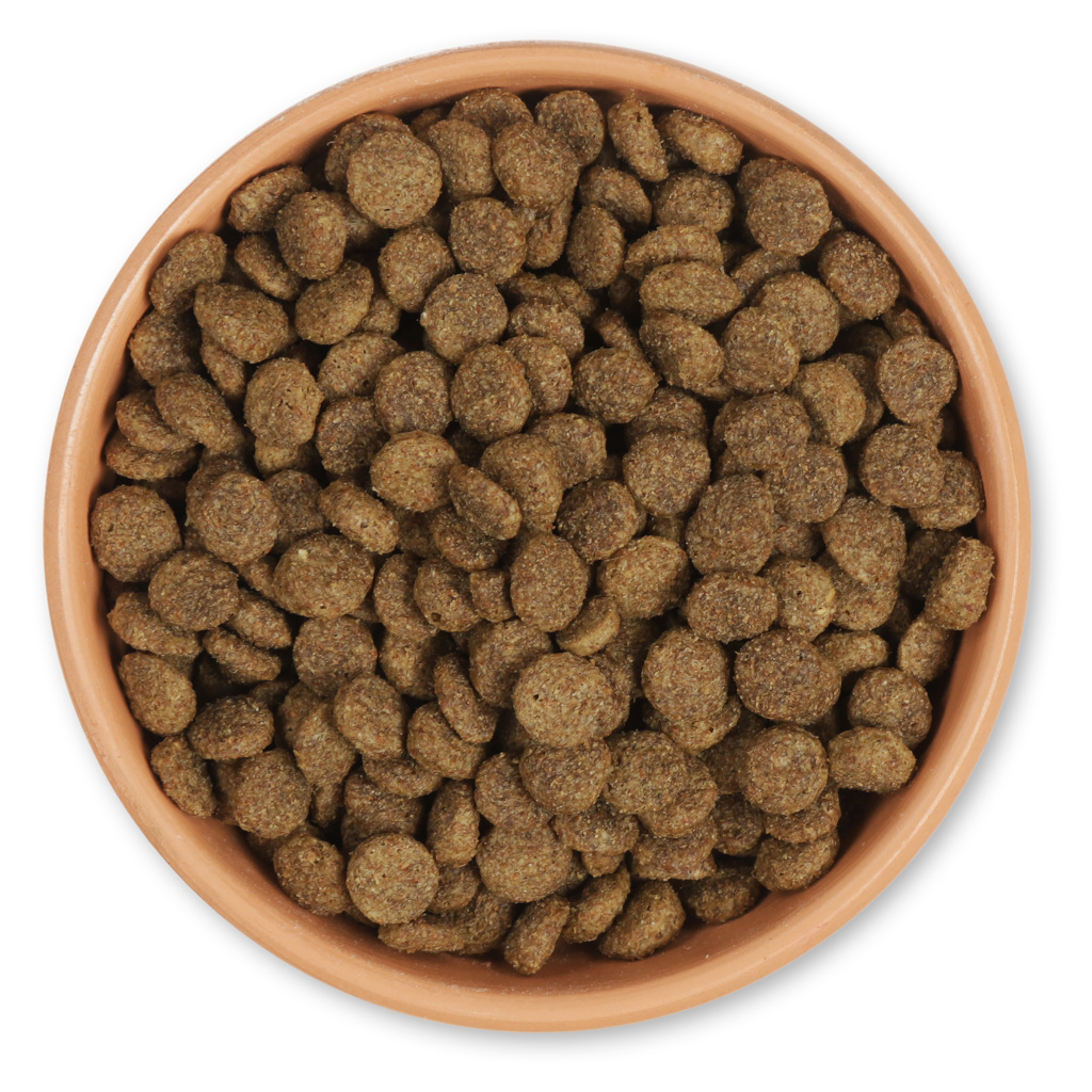 Nourriture à parsemer pour canards et cygnes 