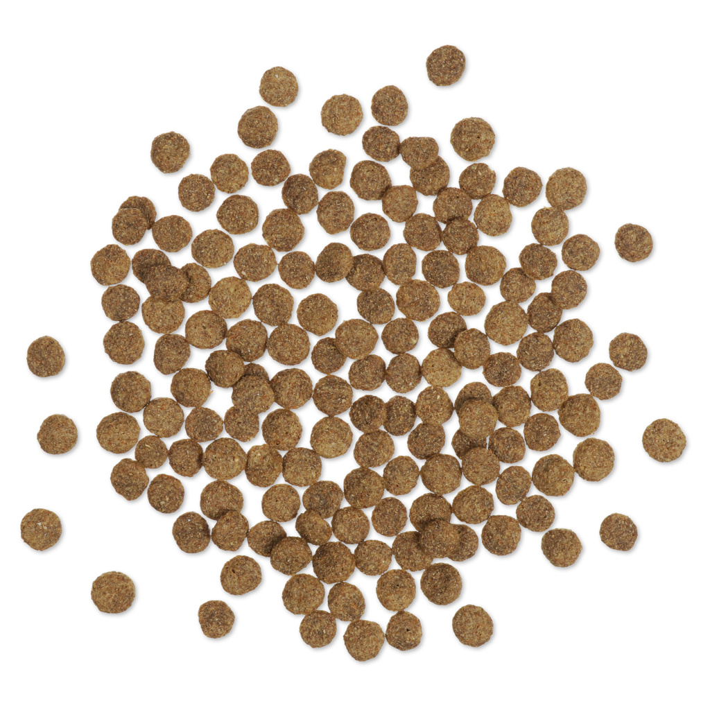 Streufutter für Enten und Schwäne 350 g