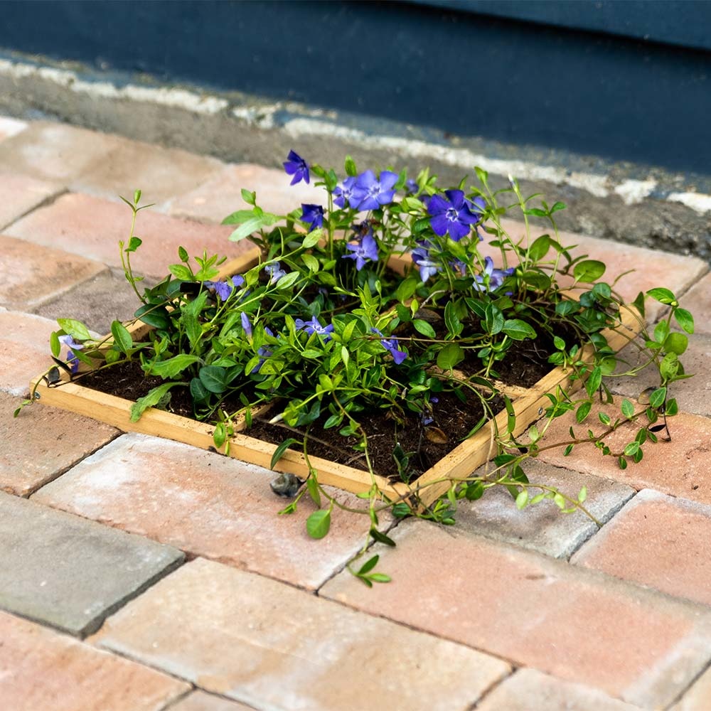 Wooden Ground Planter 30x30cm