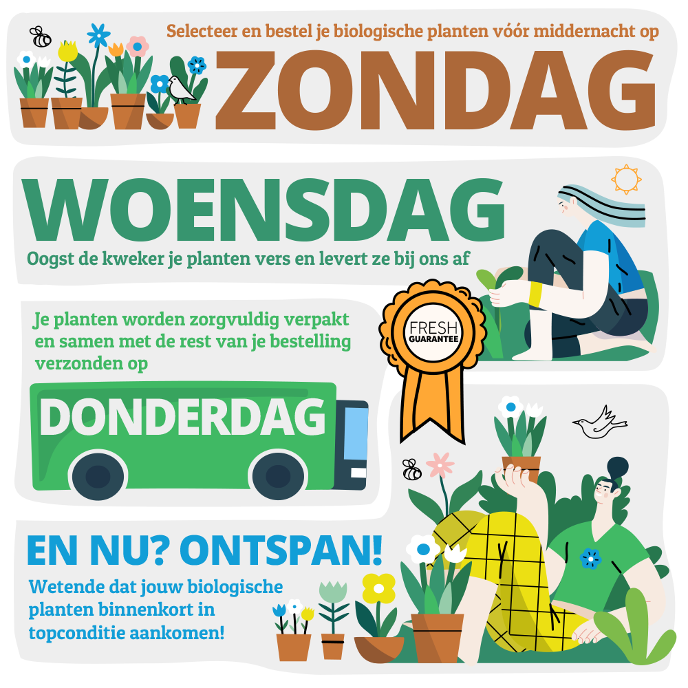 Grote Centaurie (biologisch)