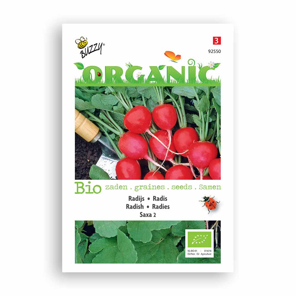 Buzzy Seeds® Organic Radish - Saxa 2 (BIO)