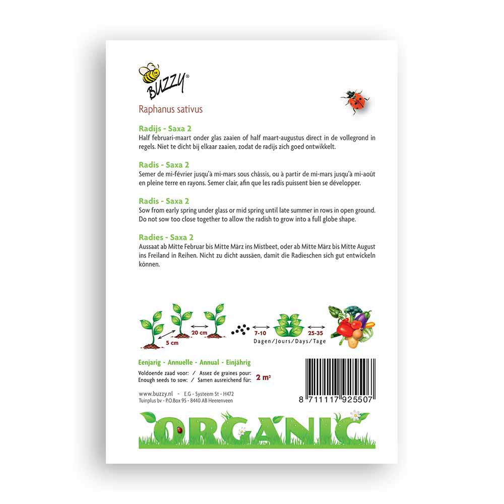 Buzzy Seeds® Organic Radish - Saxa 2 (BIO)