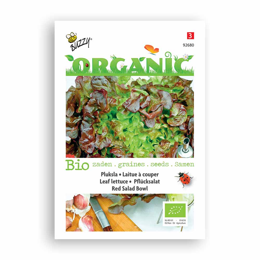 Buzzy® Organic Pflücksalat Red Salad Bowl