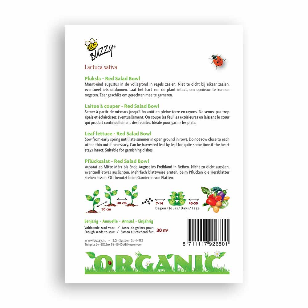 Buzzy® Organic Pflücksalat Red Salad Bowl