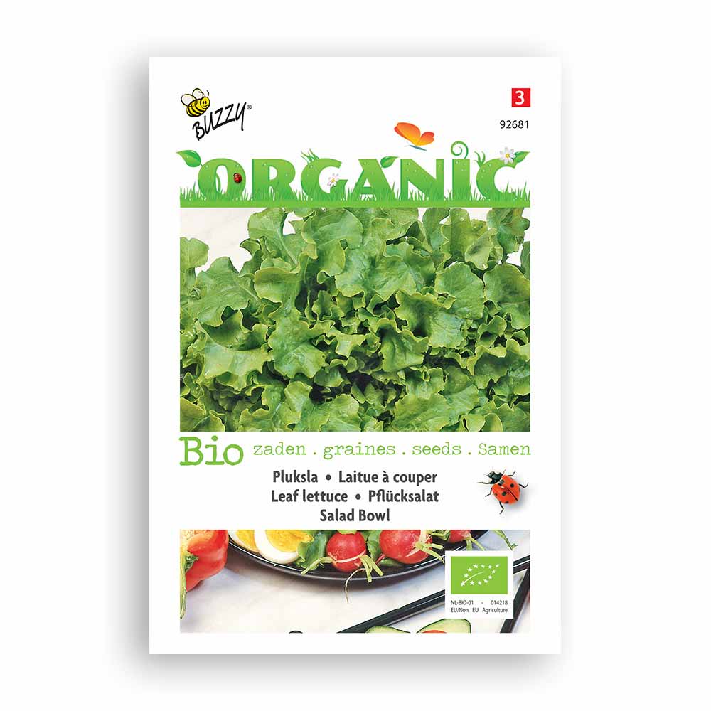 Buzzy® Organic Pflücksalat Salad Bowl grün