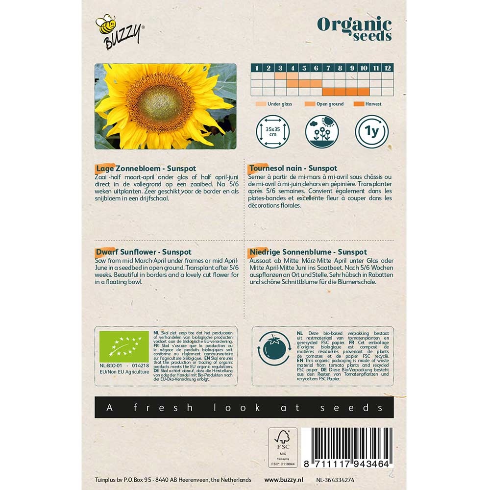 Buzzy Seeds® Organic Dwarf Sunflower - Sunspot